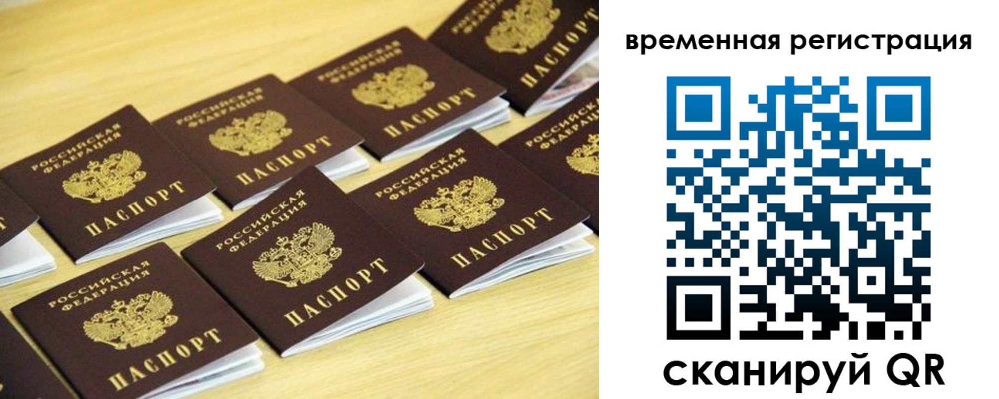 временная прописка в Бабаево